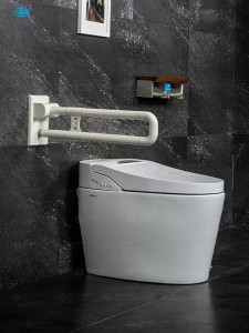 10.HS-018A Toilet folding upgrab bar for elderly