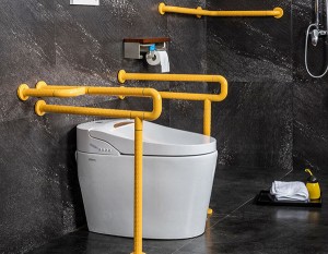 Toilet Grab Bars and Toilet Rails for Disables