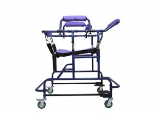 Hemiplegia rehabilitation Rollator