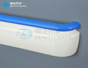 Modern Handrail Suppliers –  HS-616F High quality 143mm Hospital handrail  – ZS