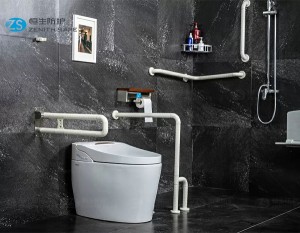 Wholesale Bathroom Grab Bars Suppliers –  Anti slip bathroom grab bar with nylon surface and stainless steel tube  – ZS