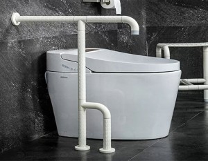 Grab Bar For Disabled Toilet Manufacturer –  Good quality toilet grab bar for elderly  – ZS